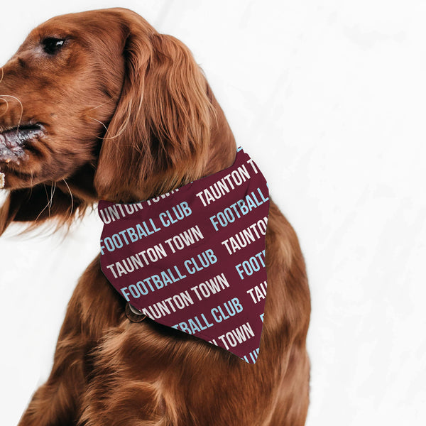 Taunton Town Text Repeat Pet Bandana