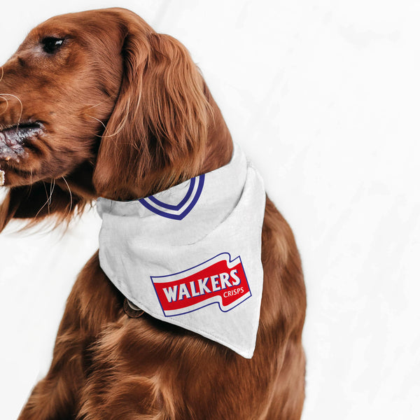 Leicester 1998 Away Pet Bandana