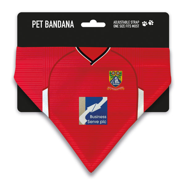 Morecambe 2001 Home Pet Bandana