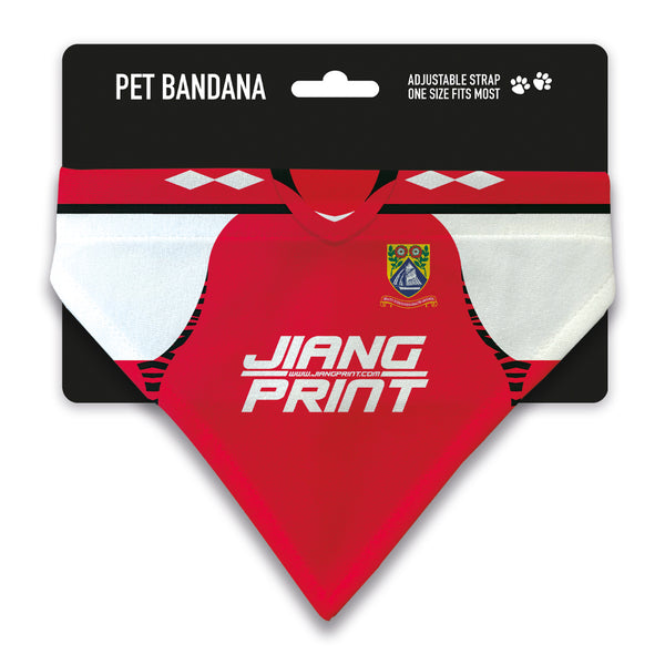 Morecambe 2008 Home Pet Bandana