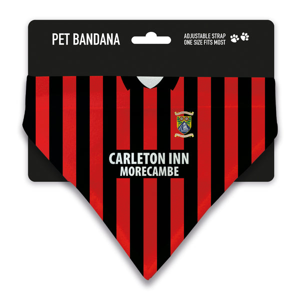 Morecambe 1994 Home Pet Bandana