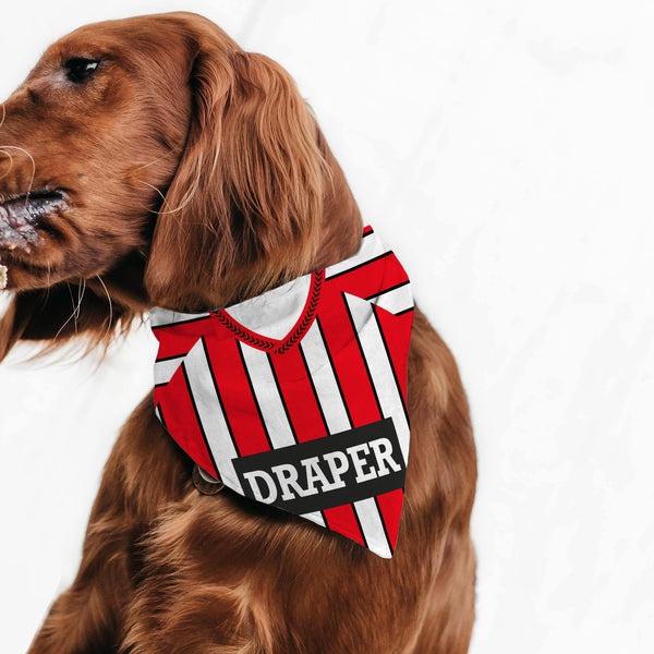 Southampton 1991 Home Pet Bandana